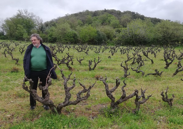 Bentu Luna Gian Matteo in vyd